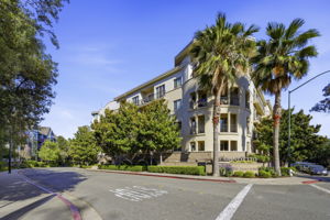 039_F8_1315 Alma Ave 223