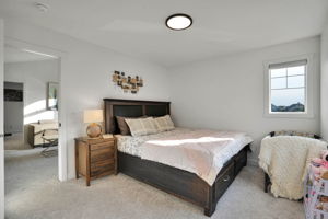 Photo 47