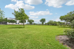 Chapel Bay Rd-S1604-062.jpg