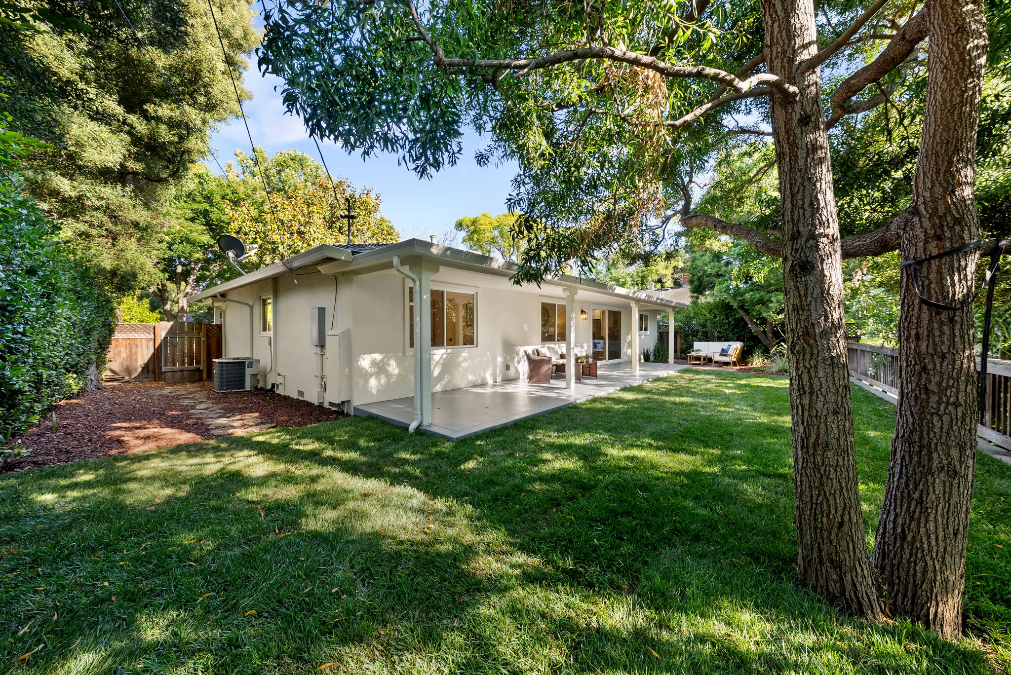  Photo 41