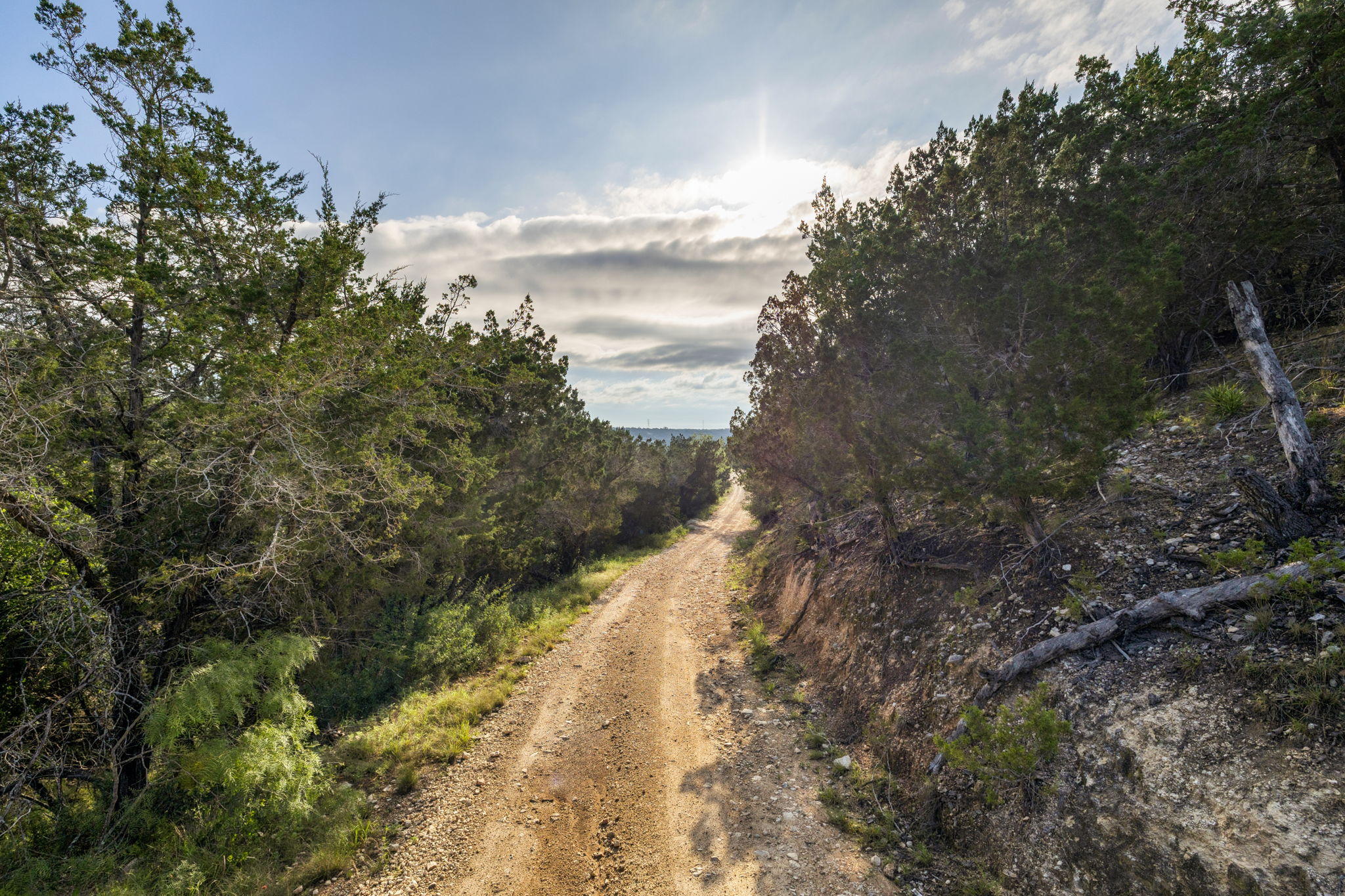  Photo 118