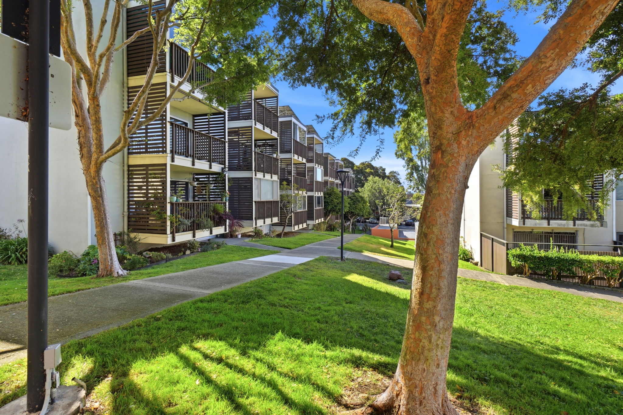 018_F8_1315 Laguna St 2