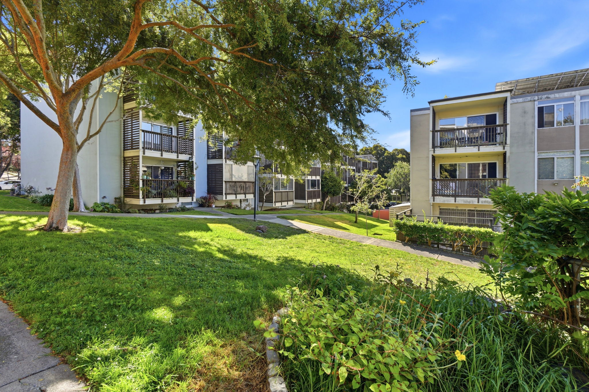 022_F8_1315 Laguna St 2