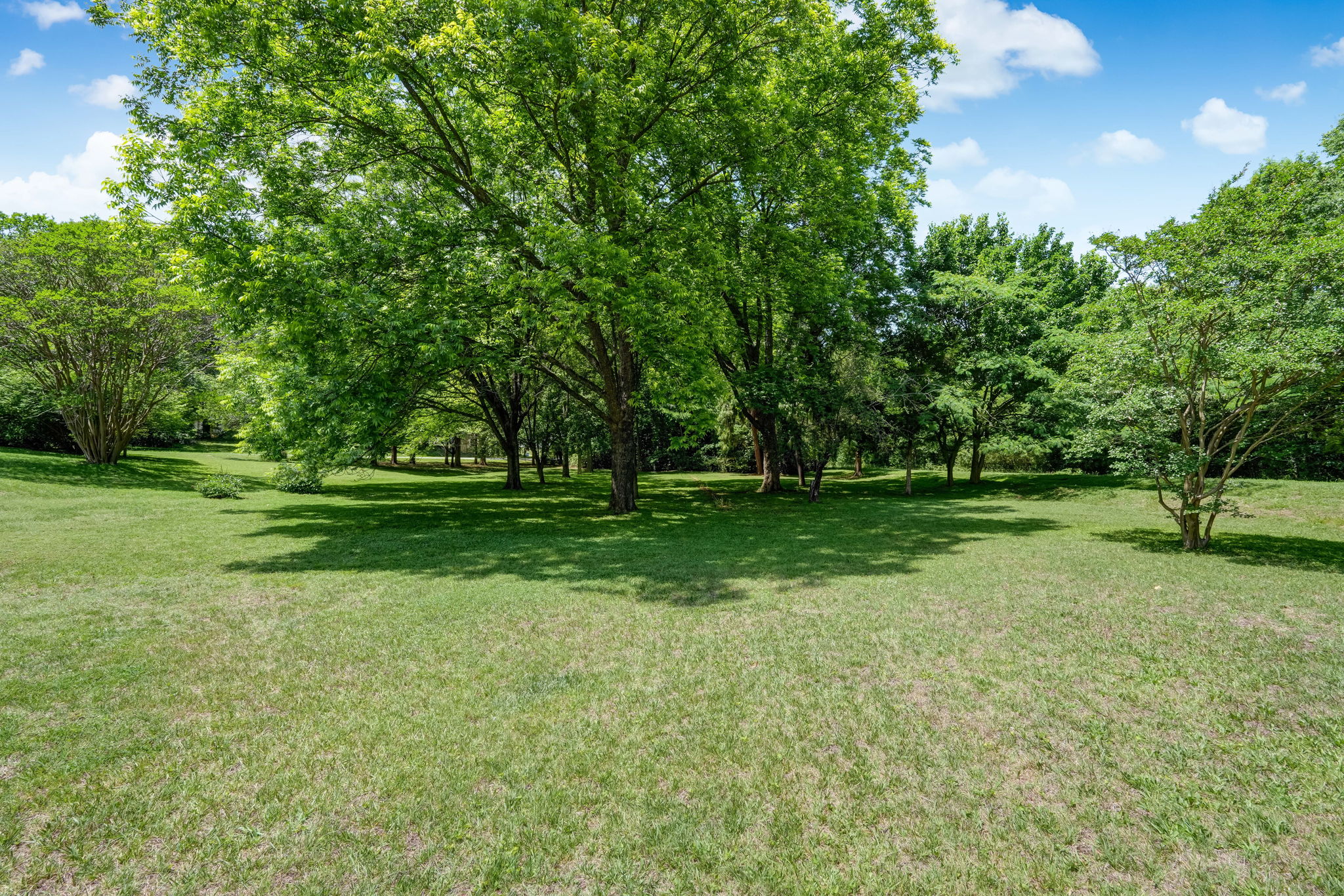 Orchard
