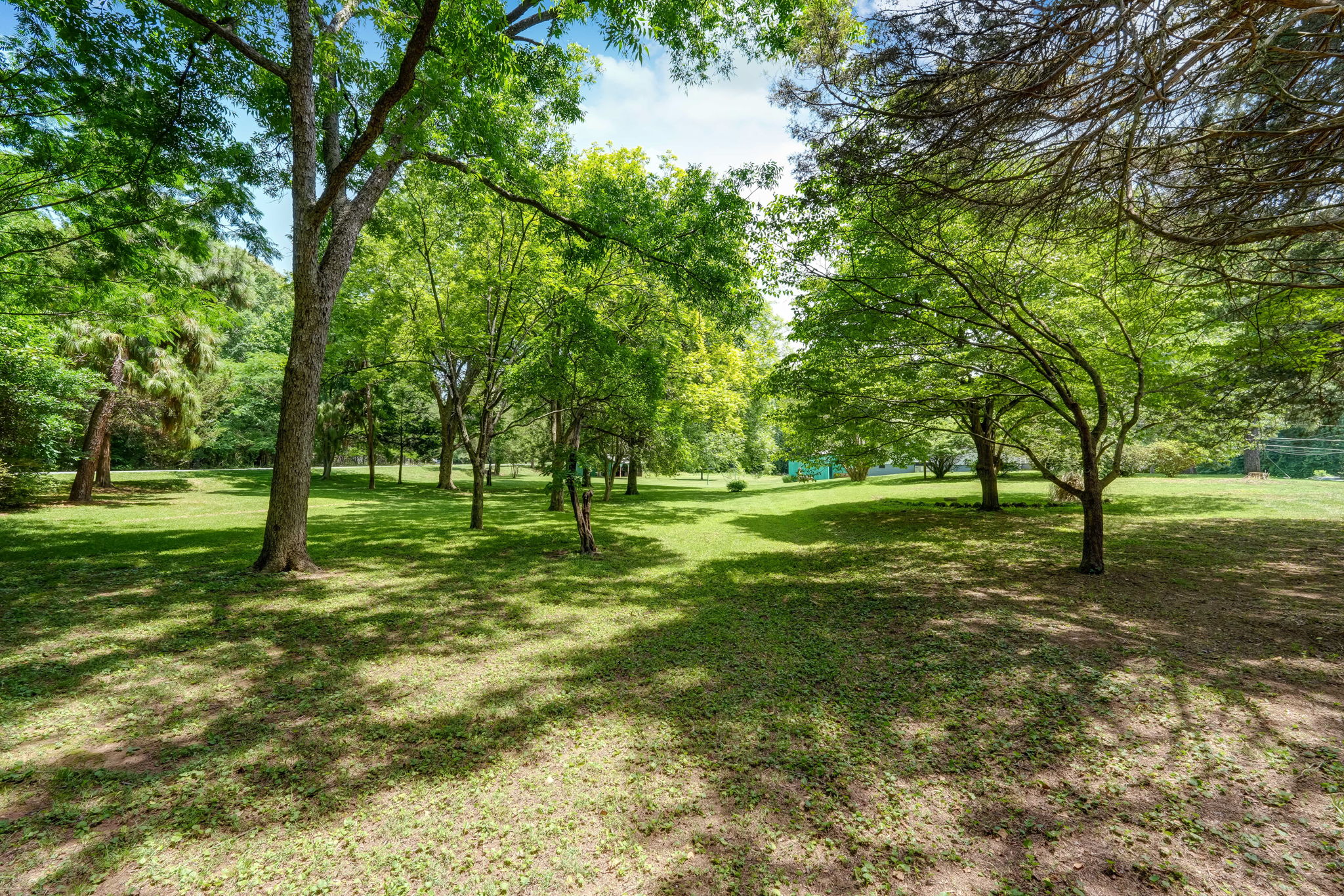Orchard