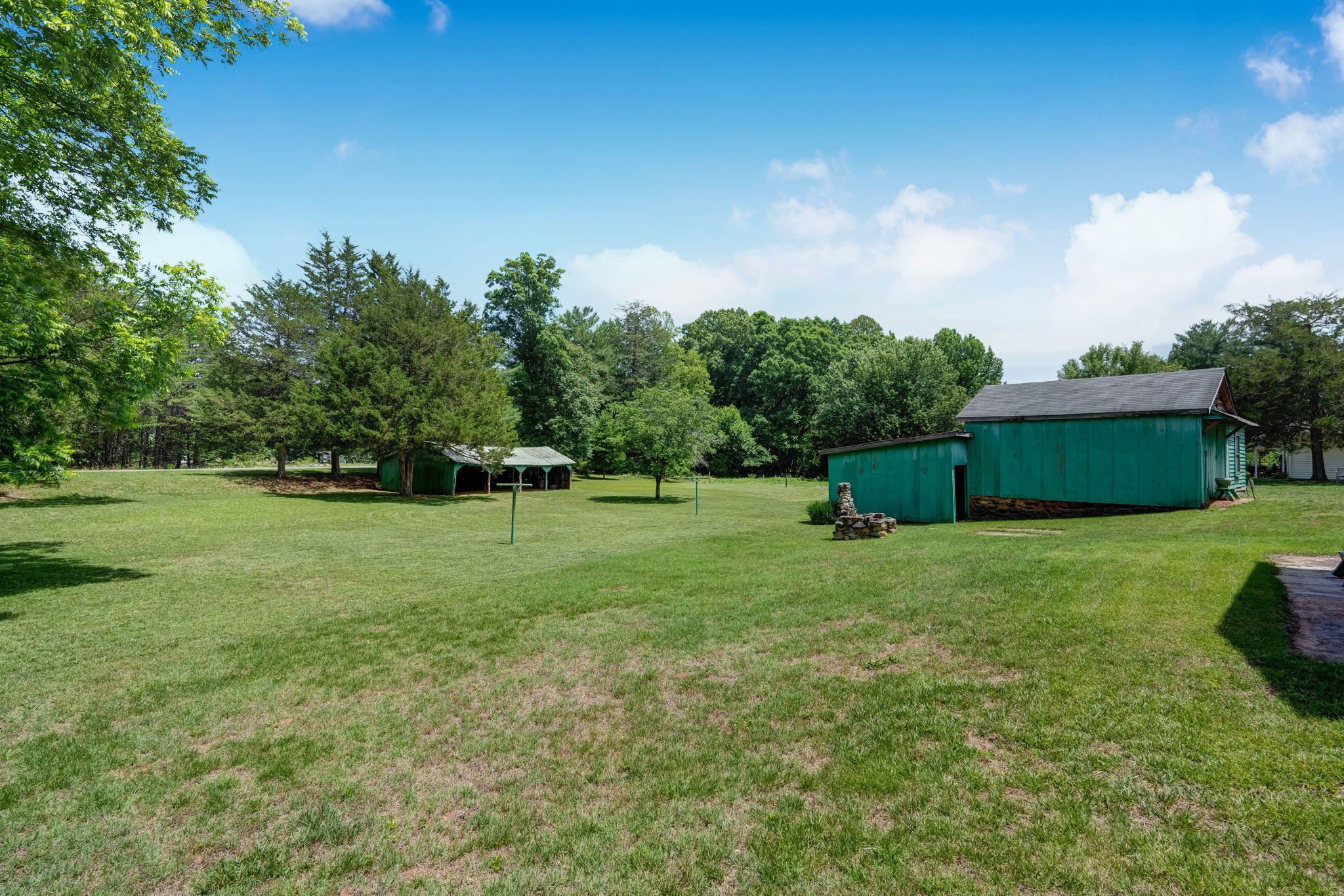 Back Yard