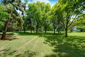 Orchard