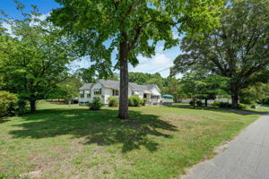 Front Yard