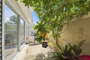 Patio3