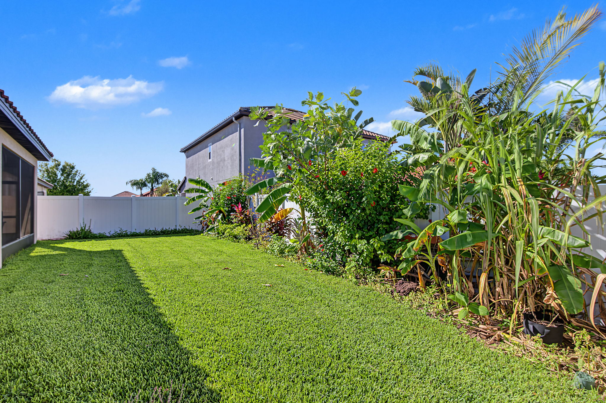 Backyard1