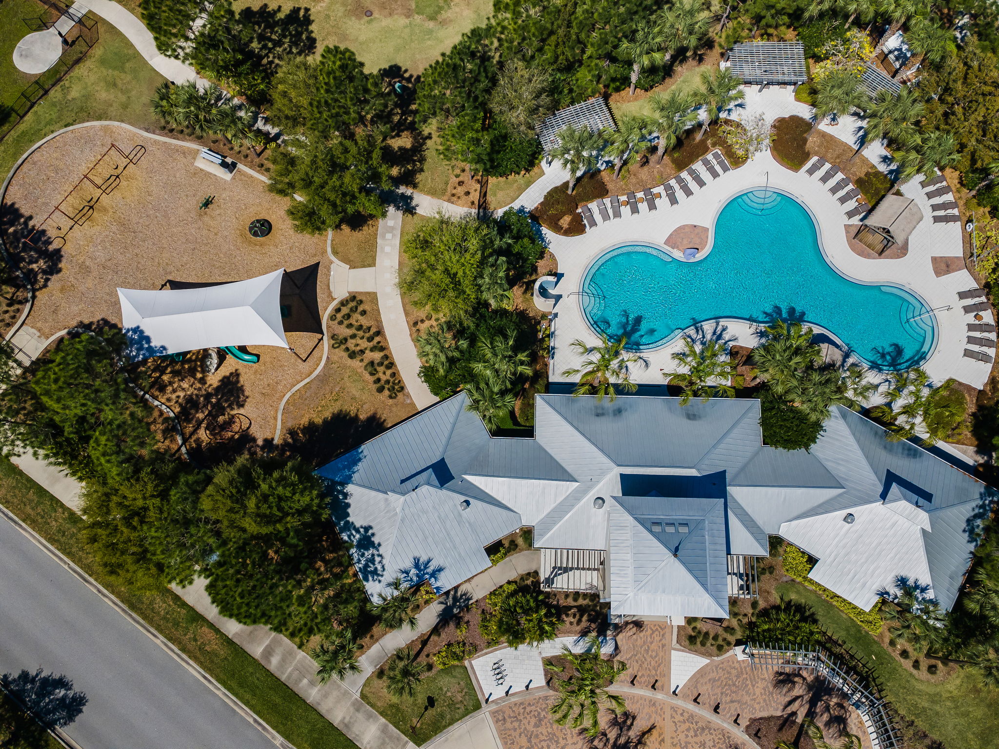 Waterleaf10
