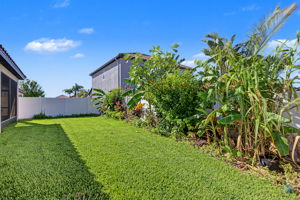 Backyard1