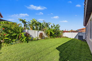 Backyard4