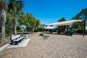 Waterleaf26