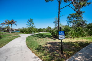 Waterleaf34