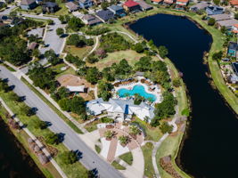 Waterleaf41