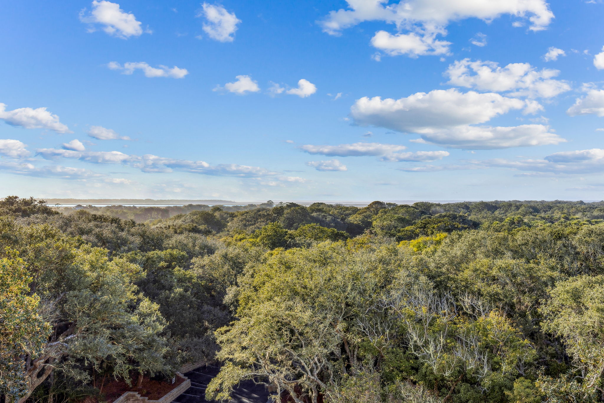 Canopy to Amelia River View