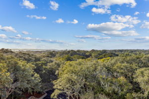 Canopy to Amelia River View