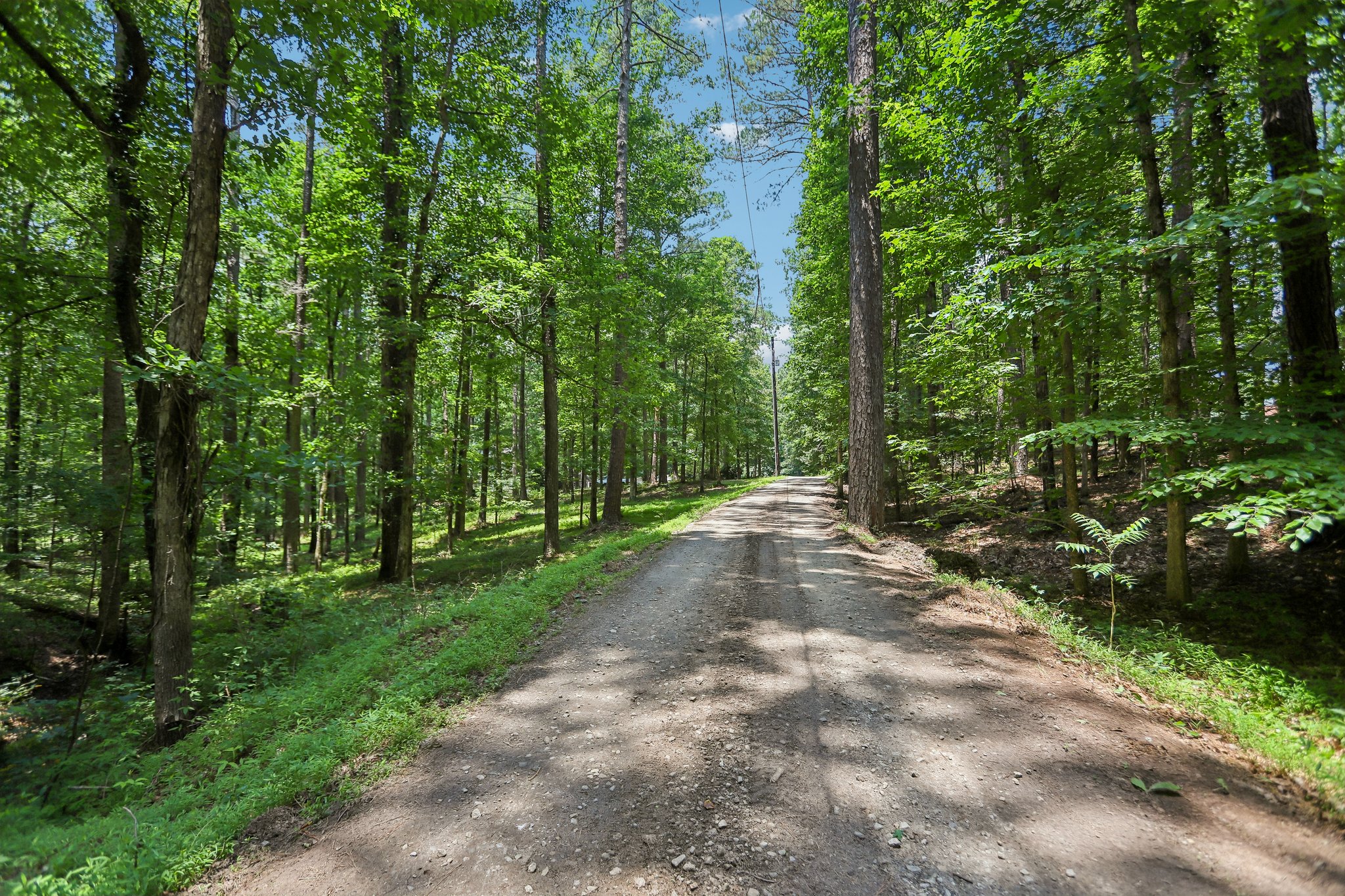 Crumbley Rd-S1106-065.jpg