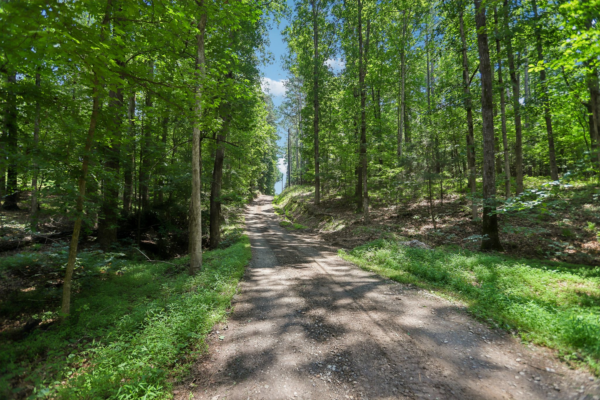 Crumbley Rd-S1106-066.jpg