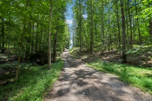 Crumbley Rd-S1106-066.jpg