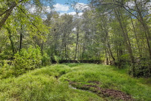 - 1319 Crumbley Rd-S0910-012r.jpg
