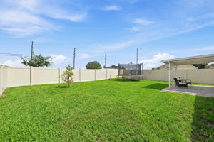 Backyard1-e