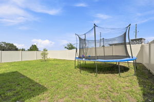 Backyard5
