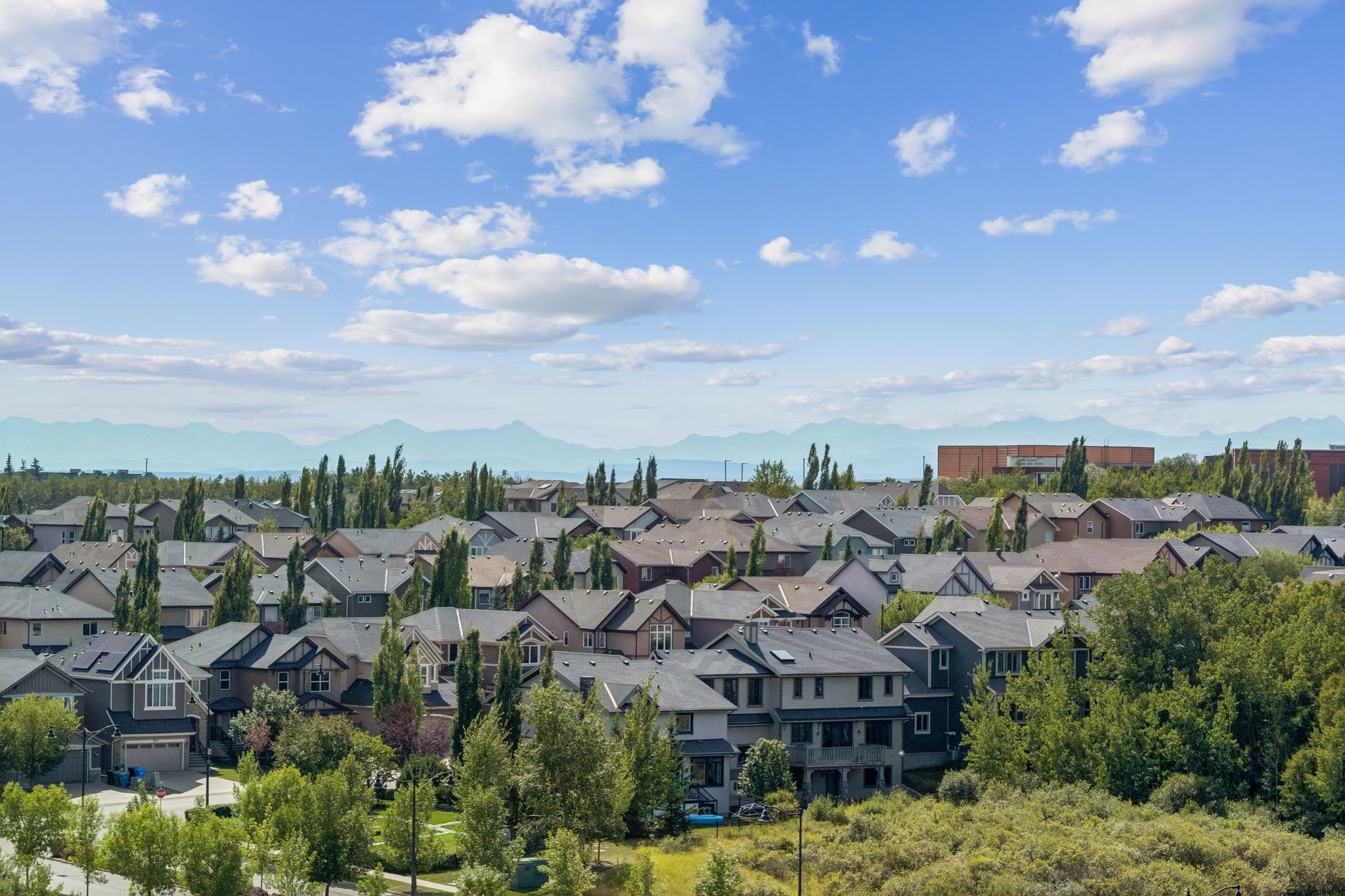 09.01.2026 - Noorin Nurani - 132 Aspenshire Dr S W_64