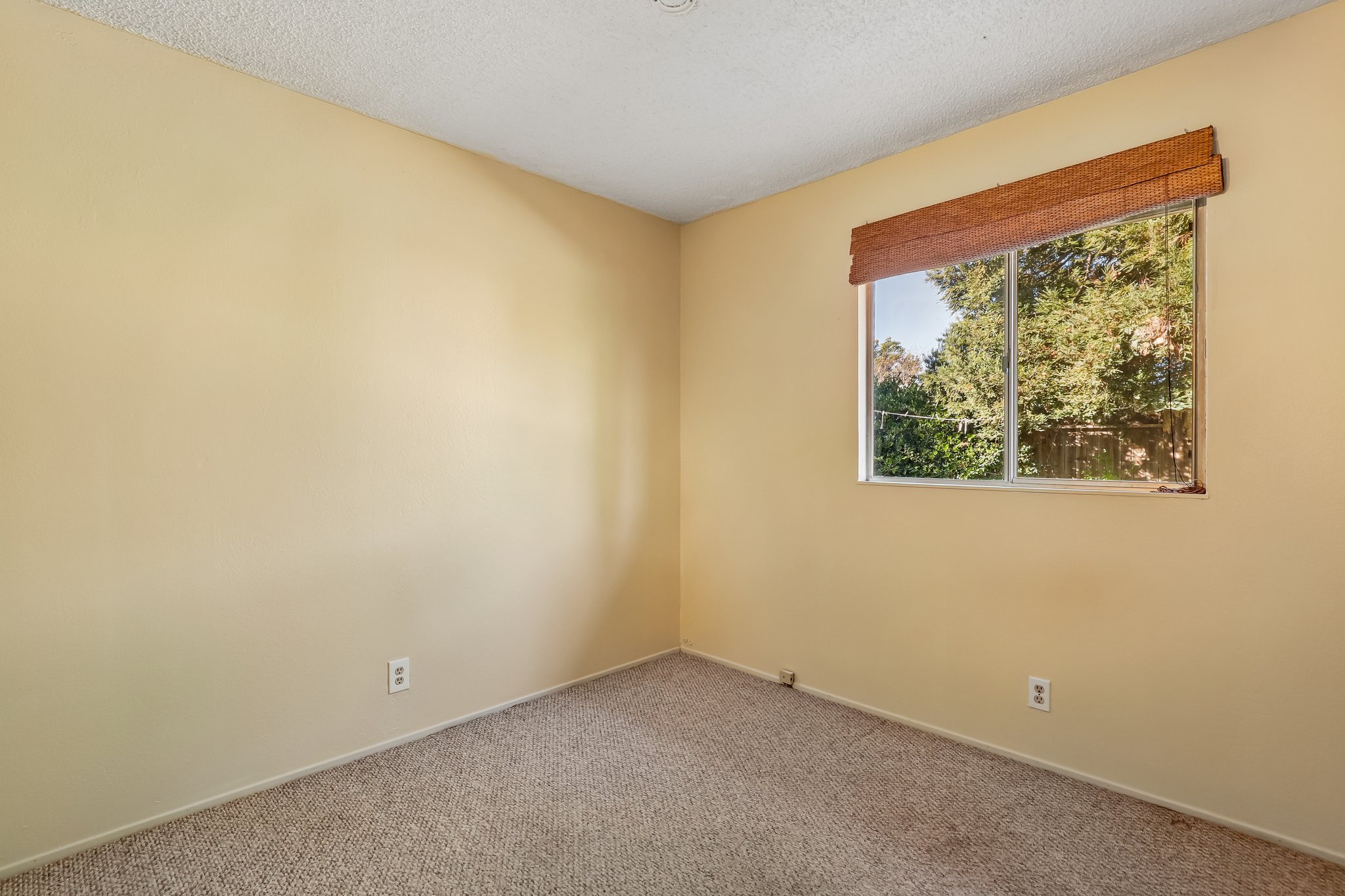 Carlton Ave-S1410-014.jpg