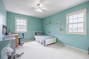  Photo 45
