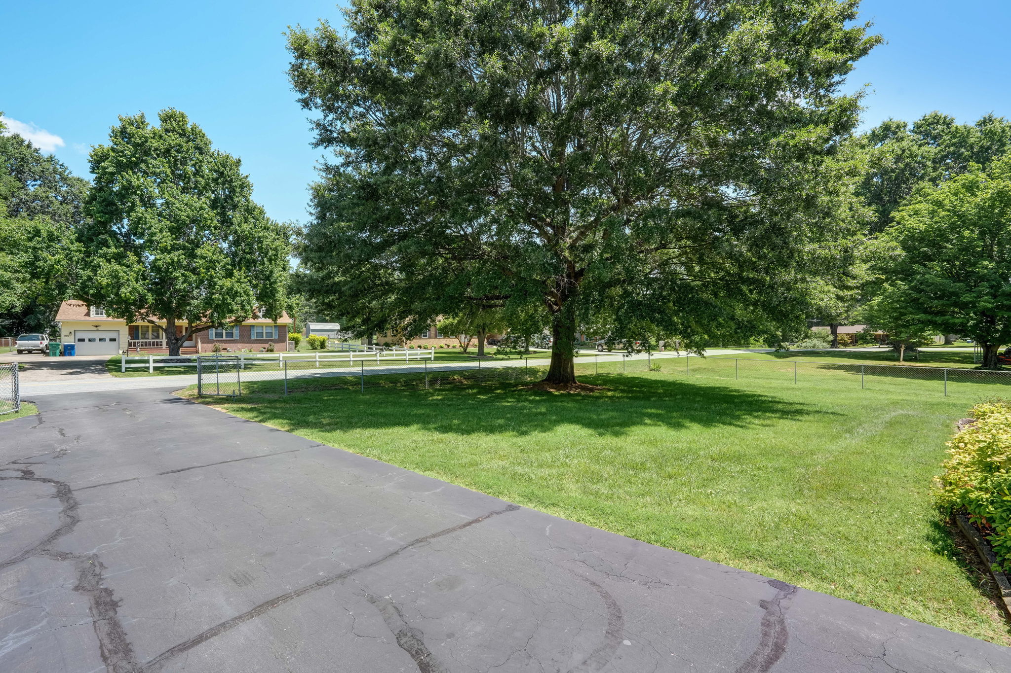 Front Yard
