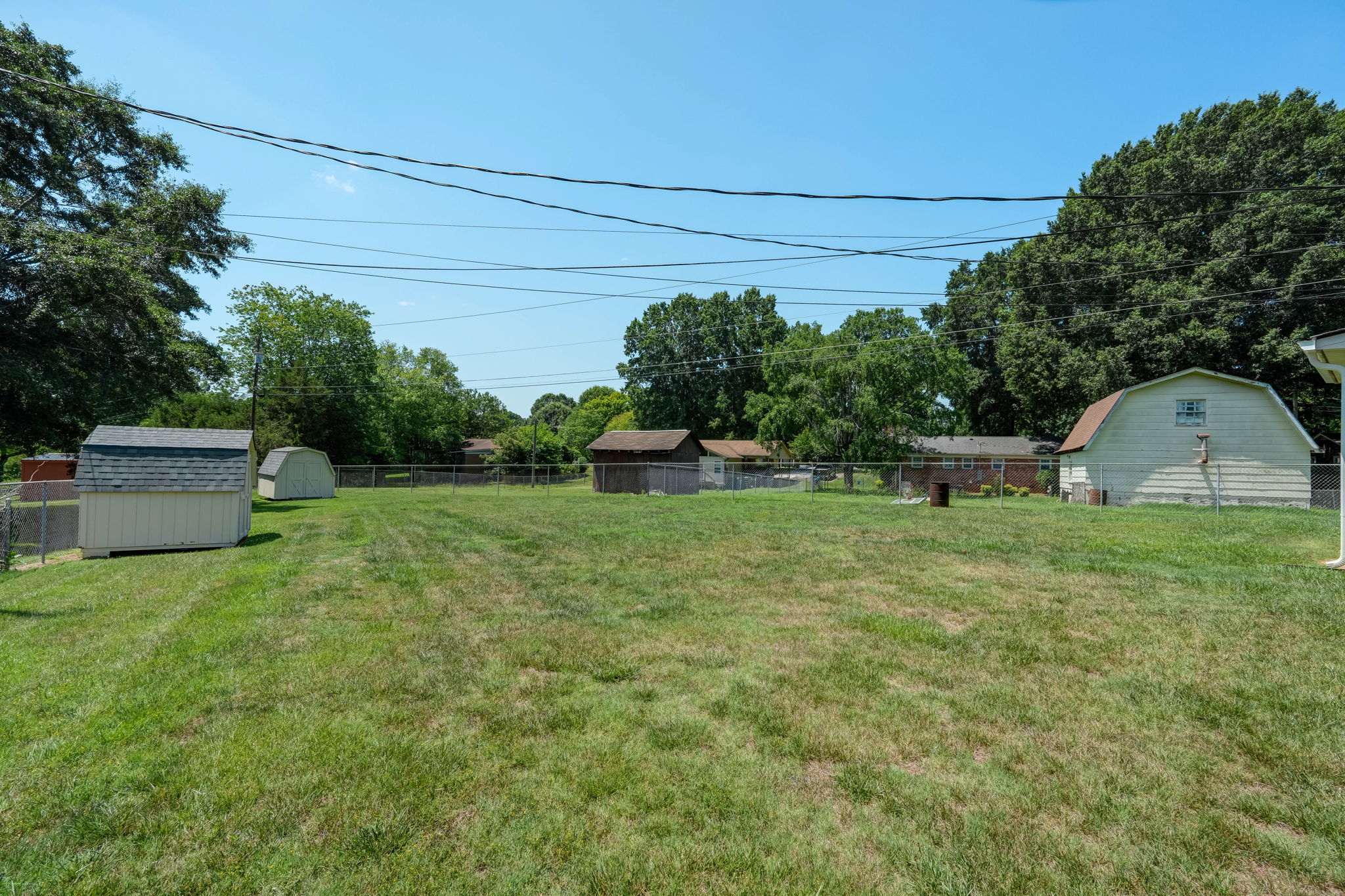 Back Yard
