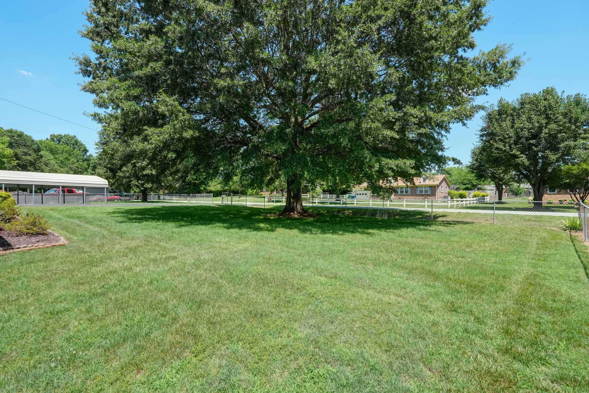 Front Yard