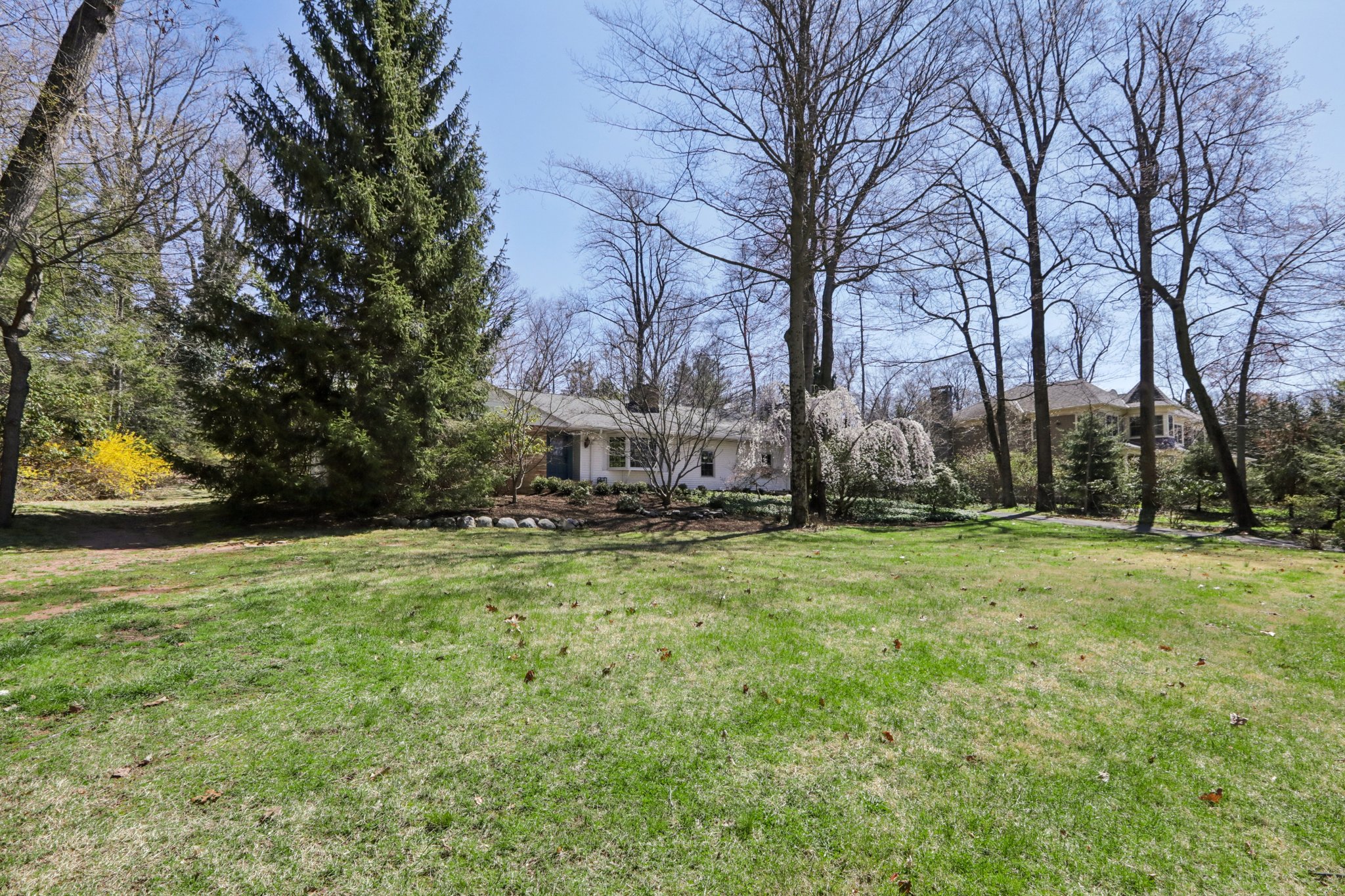 Dimmig Rd-S0904-002.jpg