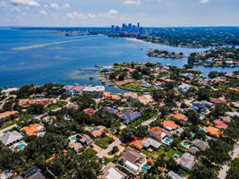Aerial (11)