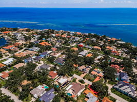 Aerial (13)