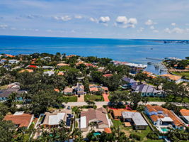 Aerial (15)