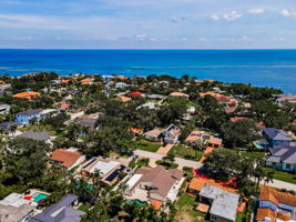 Aerial (17)
