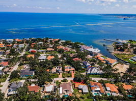 Aerial (19)