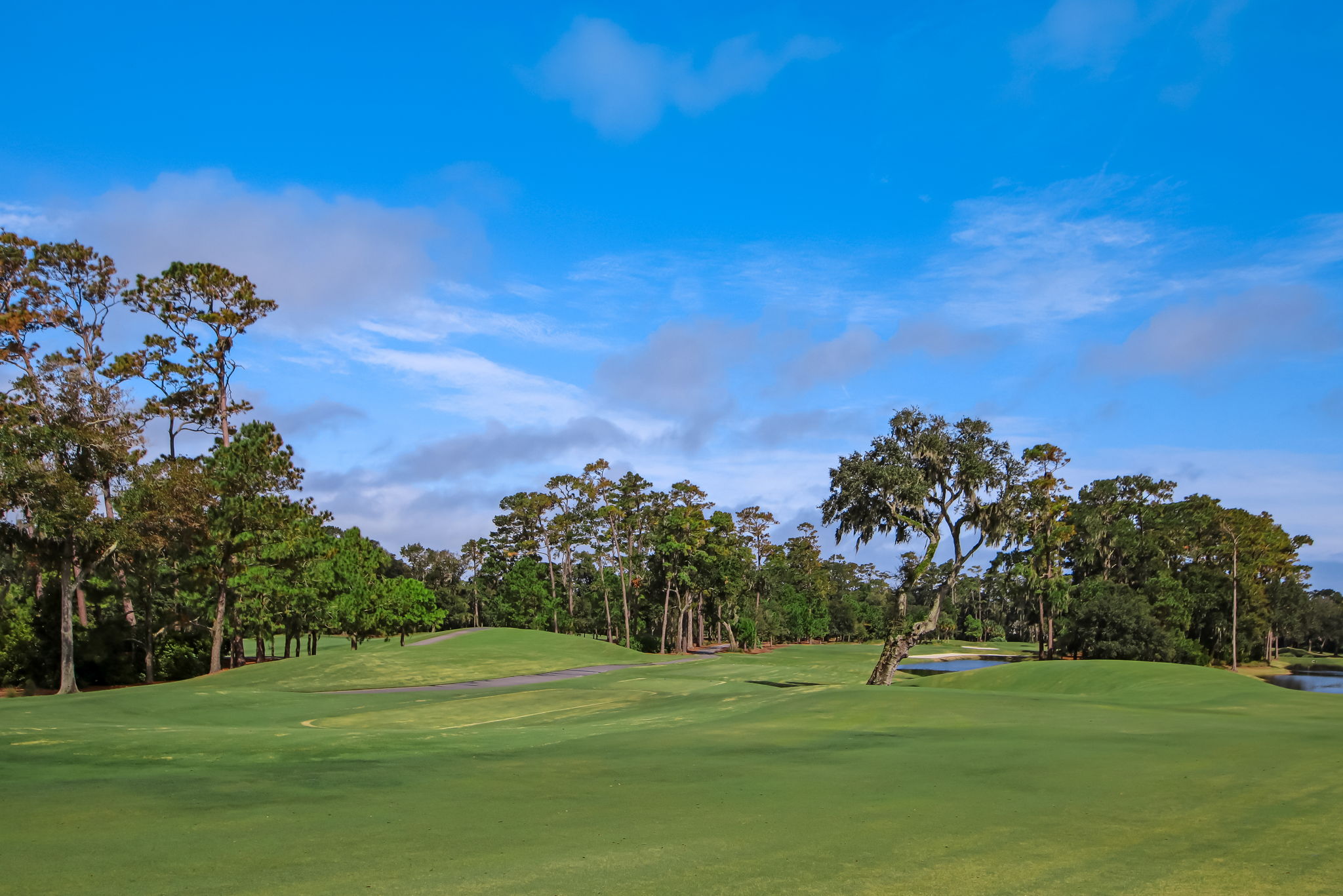 Sawgrass Country Club