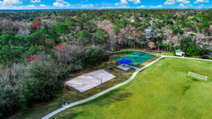Sawgrass