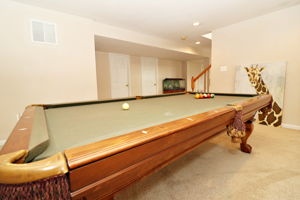 BASEMENT3