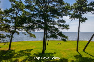 132-Swan-Circle-15-Label