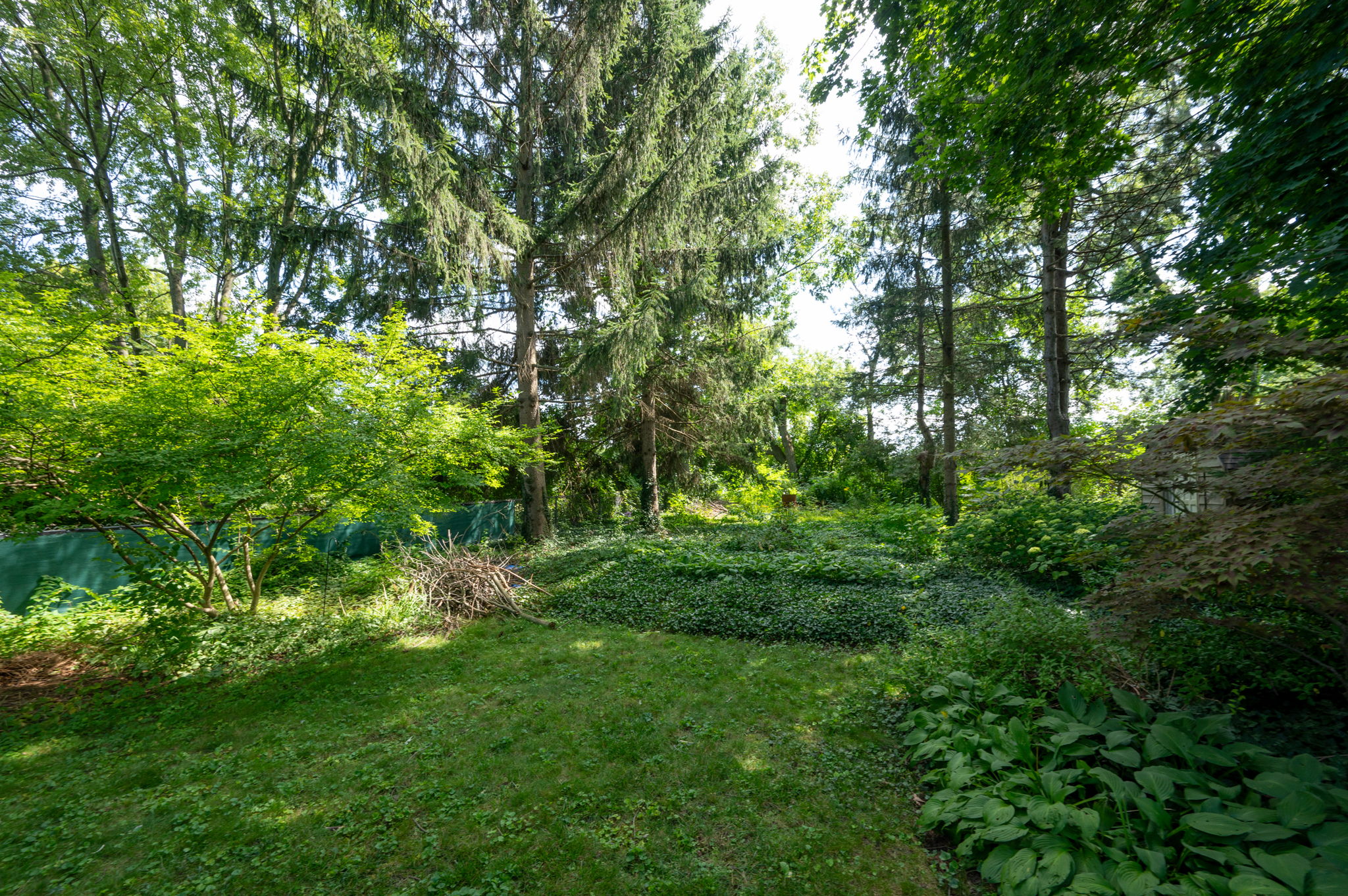  Photo 44