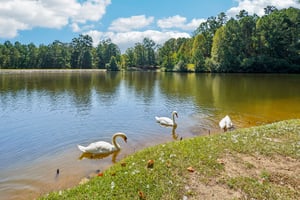 Cove Lake Cir-S1709-065.jpg