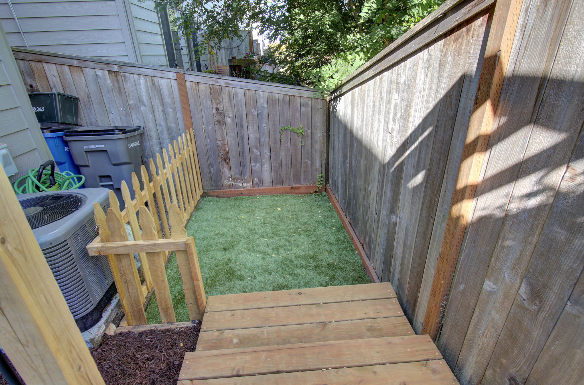 04 dog area