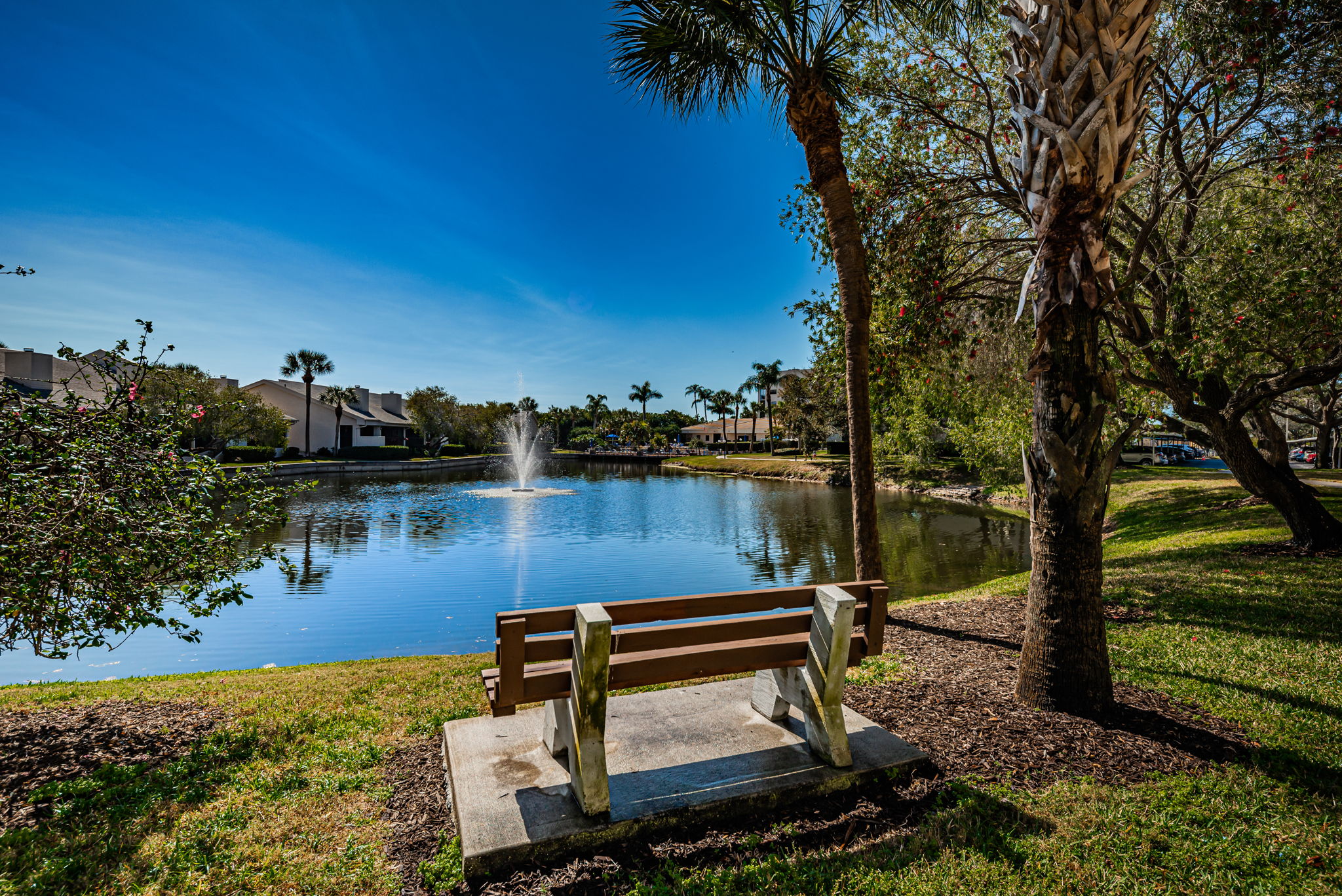 Backyard14 Pond