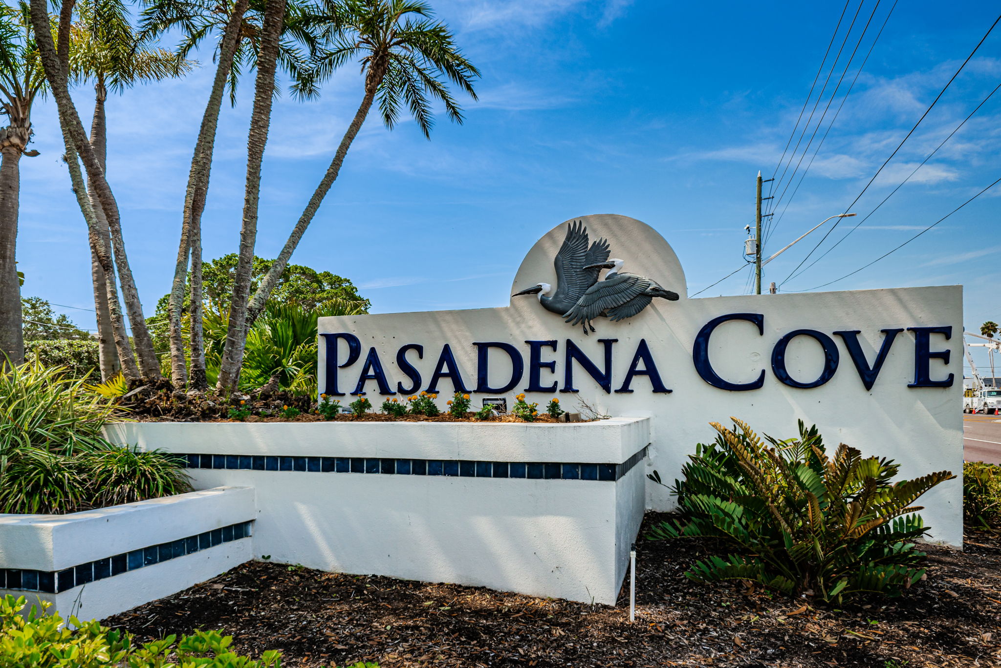 50-Pasadena Cove