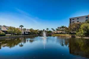 Backyard31Pond